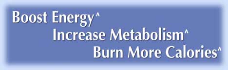 image new slenderlean weight loss appetite suppressant, fat burner, burn calories increase metabolism diet pills