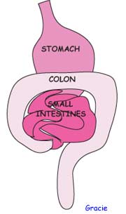 psyllium fiber colon cleansing, - cardiovascular health, acidophilus flaxseed information.